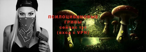 мяу мяу мука Абдулино