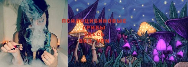 мяу мяу мука Абдулино